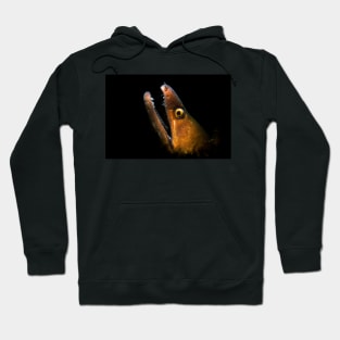 The Teeth of a Moray Eel Hoodie